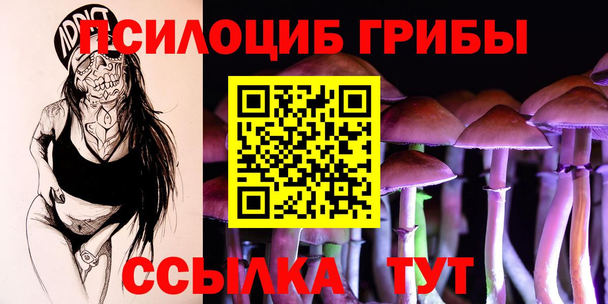 Жигулёвск  Галлюциногенные грибы прущие грибы  Вход с VPN 