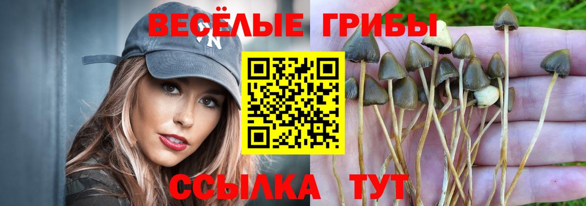 Галлюциногенные грибы Cubensis Жигулёвск